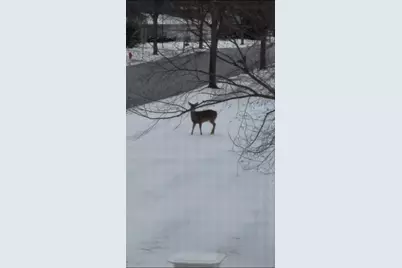 12597 Oak Grove Drive, Huntley, IL 60142 - Photo 26