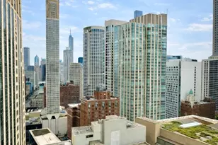 100 E Walton St, Chicago, IL 60611 - Photo 14