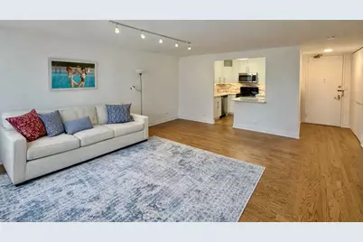 100 E Walton Street #35E, Chicago, IL 60611 - Photo 4