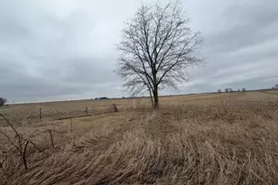 10312 N Co Rd 3850E, Mason City, IL 62664 - Photo 8