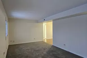 833 Village Quarter Rd, West Dundee, IL 60118 - Photo 4