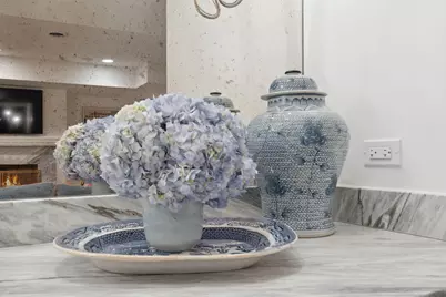 85 Sunset Place, Lake Forest, IL 60045 - Photo 54