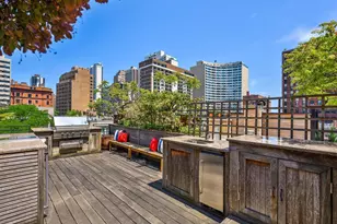 37 E Elm St, Chicago, IL 60611 - Photo 26