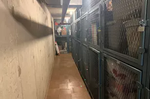 4601 W Touhy Ave, Lincolnwood, IL 60712 - Photo 38