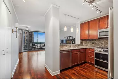 201 N Westshore Drive #904, Chicago, IL 60601 - Photo 12