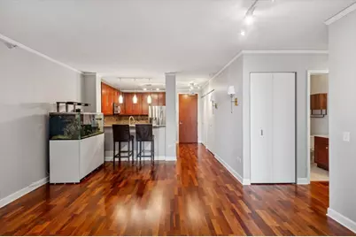 201 N Westshore Drive #904, Chicago, IL 60601 - Photo 4