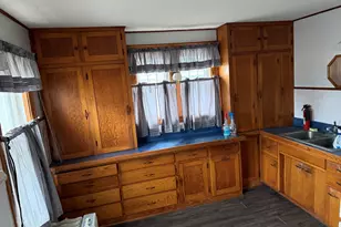 28432 S Route 45, Peotone, IL 60468 - Photo 2