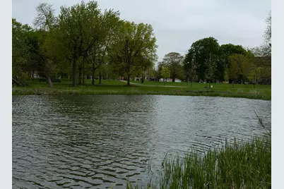 102 N Hamlin Boulevard #D1, Chicago, IL 60624 - Photo 30