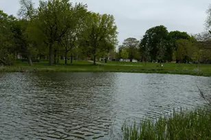 102 N Hamlin Blvd, Chicago, IL 60624 - Photo 30