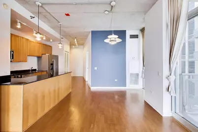 720 N Larrabee Street #1108, Chicago, IL 60654 - Photo 12