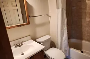 134 W Wood St, Palatine, IL 60067 - Photo 6