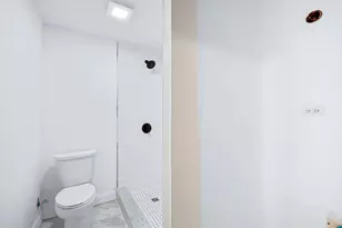 2624 N Albany Ave, Chicago, IL 60647 - Photo 10