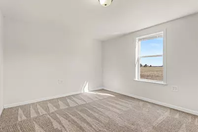 11064 W Bruns Road, Monee, IL 60449 - Photo 6