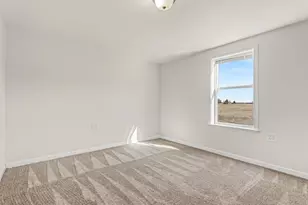 11064 W Bruns Rd, Monee, IL 60449 - Photo 6