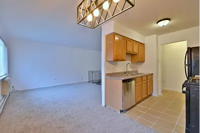8637 1/2 W Foster Avenue #1B, Chicago, IL 60656 - Photo 16
