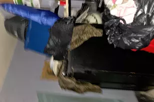 8414 S Buffalo Ave, Chicago, IL 60617 - Photo 2