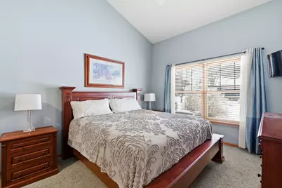 21702 Higley Lane, Frankfort, IL 60423 - Photo 14