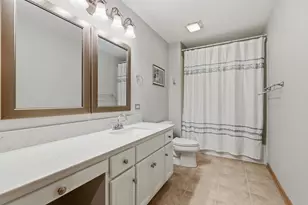 21702 Higley Ln, Frankfort, IL 60423 - Photo 24