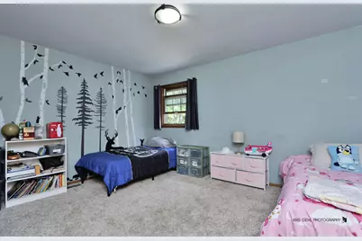 1509 N Denali Trail, McHenry, IL 60050 - Photo 20