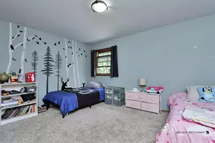 1509 N Denali Trail, McHenry, IL 60050 - Photo 20