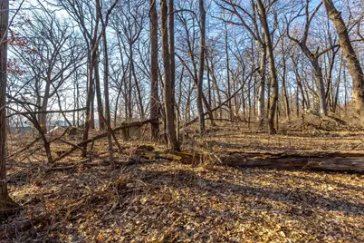 2307 18th Avenue, Dewitt, IA 52742 - Photo 10