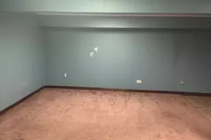 574 Norman Rd, Bolingbrook, IL 60440 - Photo 28