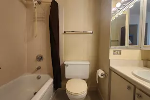 405 N Wabash Ave, Chicago, IL 60611 - Photo 10