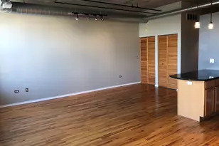 6 S Laflin St, Chicago, IL 60607 - Photo 6