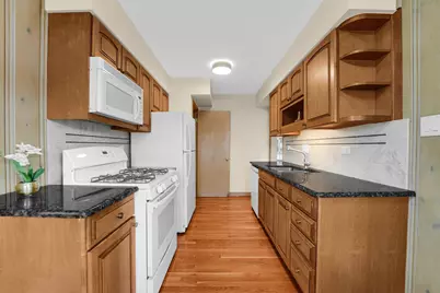 1604 S Greenwood Avenue, Park Ridge, IL 60068 - Photo 8