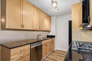 9655 Woods Dr, Skokie, IL 60077 - Photo 8