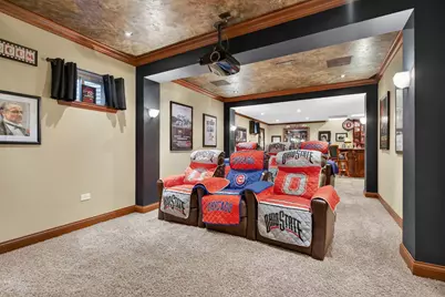 714 Joanne Drive, Minooka, IL 60447 - Photo 48