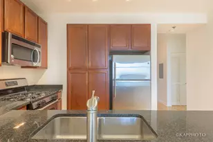 1255 S State St, Chicago, IL 60605 - Photo 10