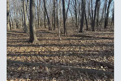 2960 N 2553rd Road, Seneca, IL 61360 - Photo 6