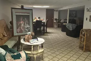 8731 S Clyde Ave, Chicago, IL 60617 - Photo 22