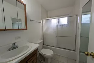 4230 Lindley Street N, Downers Grove, IL 60515 - Photo 8