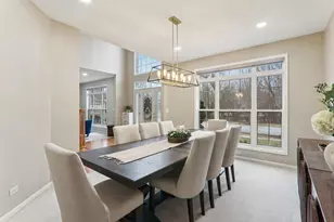 484 W Haleys Hill Ct, Palatine, IL 60074 - Photo 8