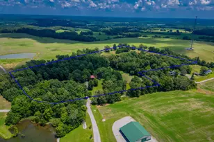 690 Ganntown Ln, Grantsburg, IL 62943 - Photo 4