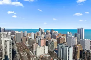 1122 N Clark St, Chicago, IL 60610 - Photo 48