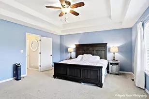 3109 Talismon Ln, Johnsburg, IL 60051 - Photo 18