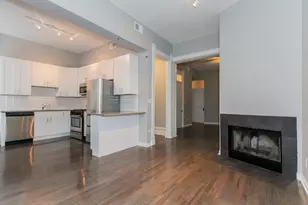 42 E Chicago Ave, Chicago, IL 60611 - Photo 6
