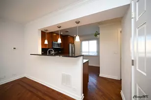 429 E Lincoln St, Mount Prospect, IL 60056 - Photo 10