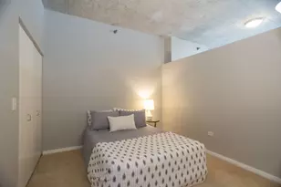 1620 S Michigan Ave, Chicago, IL 60616 - Photo 8