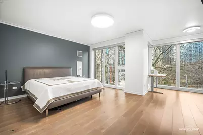 204 N Park Drive, Chicago, IL 60601 - Photo 14