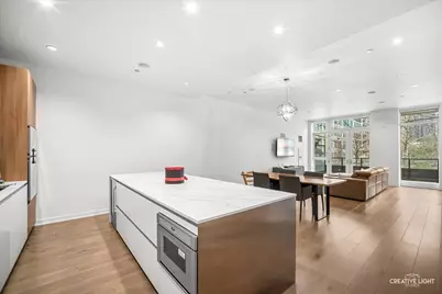 204 N Park Drive, Chicago, IL 60601 - Photo 12