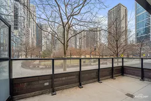 204 N Park Dr, Chicago, IL 60601 - Photo 4