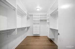 204 N Park Dr, Chicago, IL 60601 - Photo 20