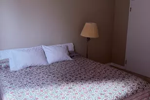 401 E Ontario St, Chicago, IL 60611 - Photo 16