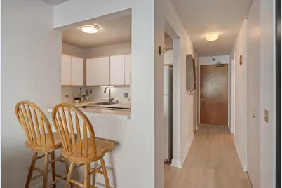 [Address not provided], Chicago, IL 60611 - Photo 10