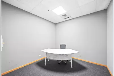 1333 S Schoolhouse Road, New Lenox, IL 60451 - Photo 4