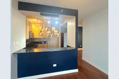1841 S Calumet Avenue #706, Chicago, IL 60616 - Photo 4